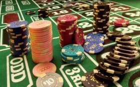 bet55955